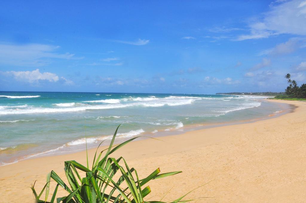 The Beach Cabanas Retreat & Spa Koggala Exterior foto