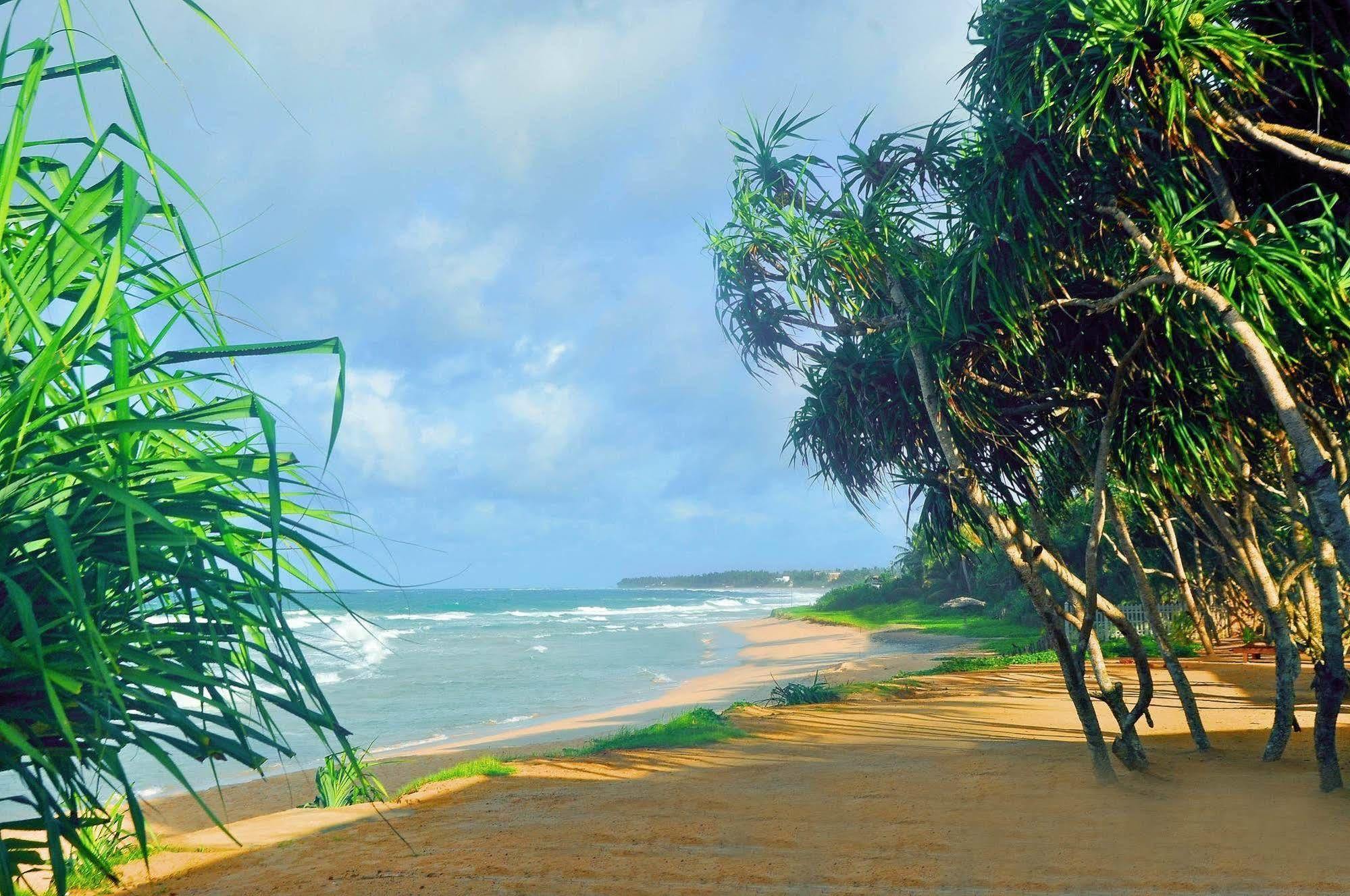 The Beach Cabanas Retreat & Spa Koggala Exterior foto